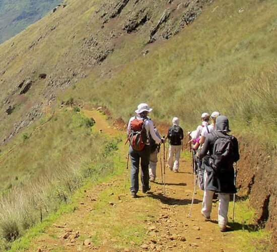 We are walking along the Choquequirao trail for 5 days it is amazing.