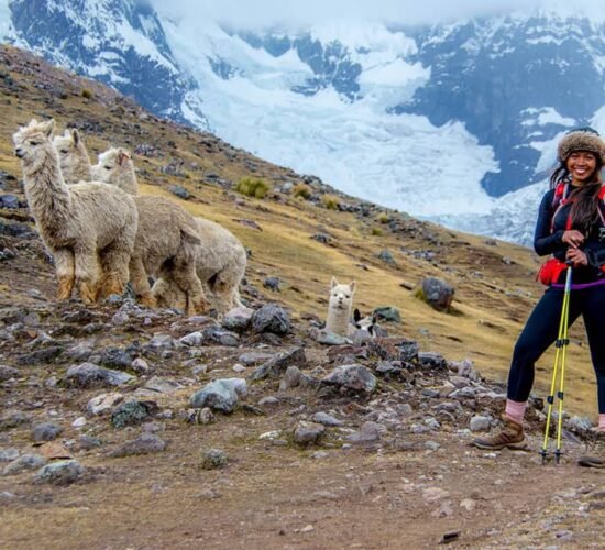 Palomani is the highest pass in the Ausangate 7 day trek but you can also see beautiful landscapes surrounded by alpavas and snowy mountains