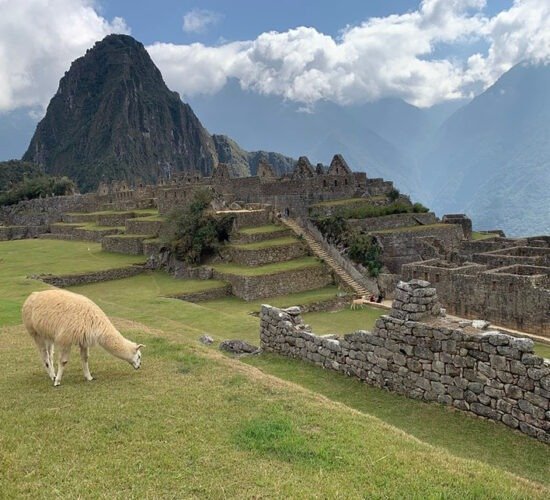Machu Picchu a happy life