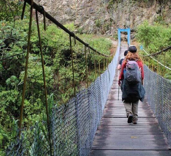 Salkantay trek 8 days also offers you a walk in the jungle