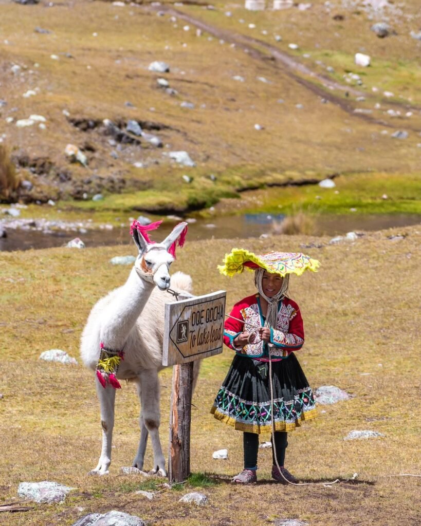 Beautiful girl with her Alpaca.