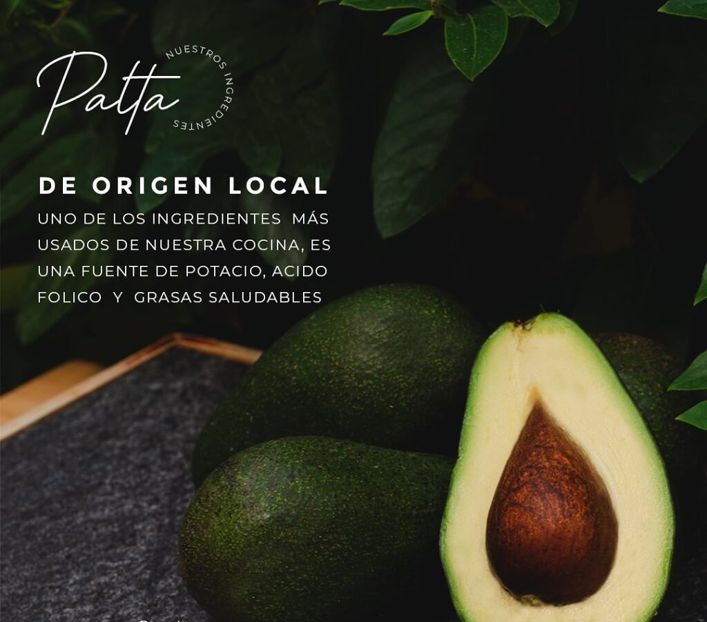 Avocado is loved the world over, and here in Peru we are lucky to be spoilt for choice with all kinds of varieties, all fresh, local and full of flavour.