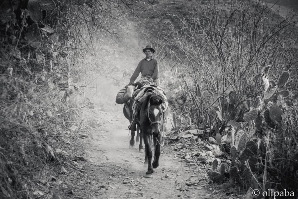 Gentleman returning from Choquequirao