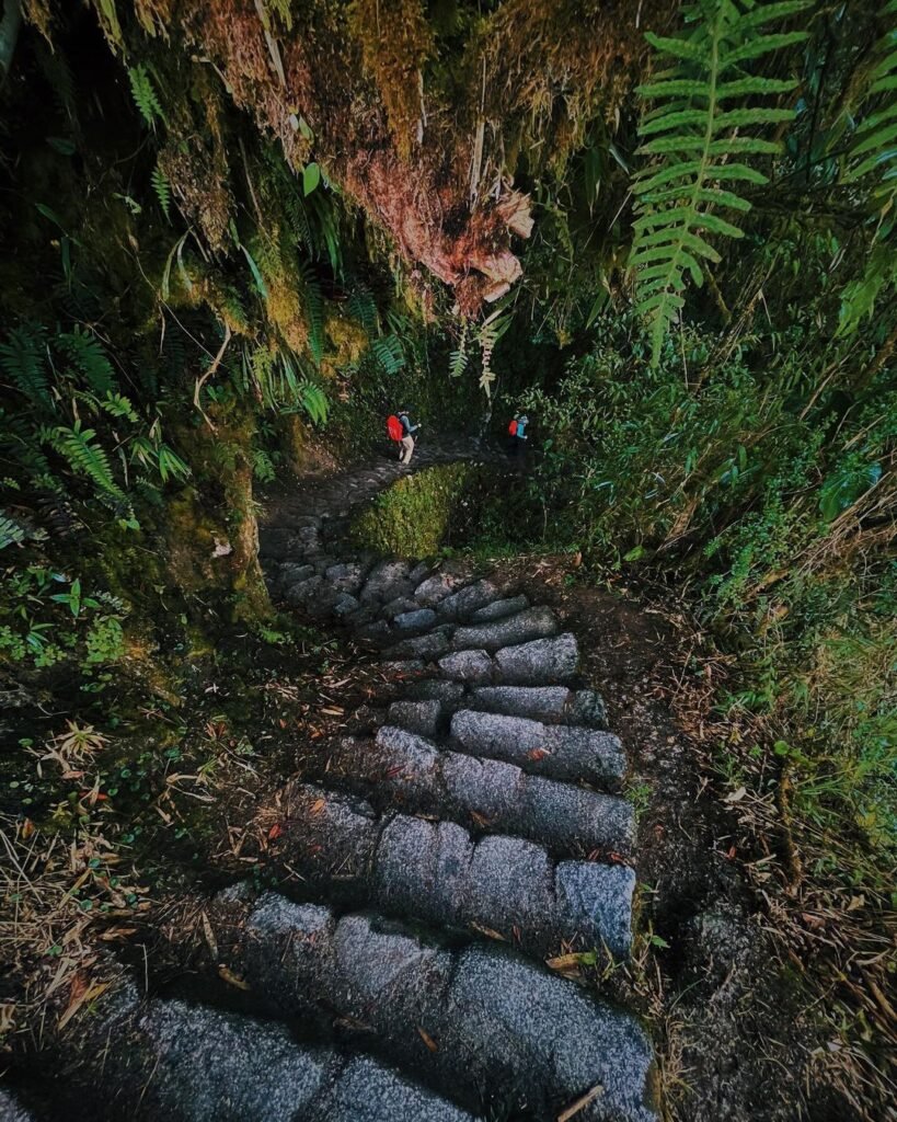 Inca Trail Hike to Machu Picchu