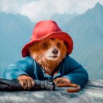 Paddington Bear Challenges