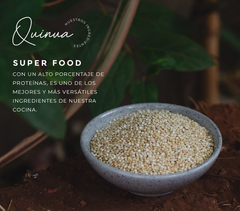 Quinoa is one of the earth great gifts for us A seed that came to feed us and fill us with energy