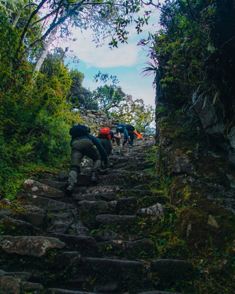 The Inca trail trek is an excellent option for anyone who wants a new adventure.