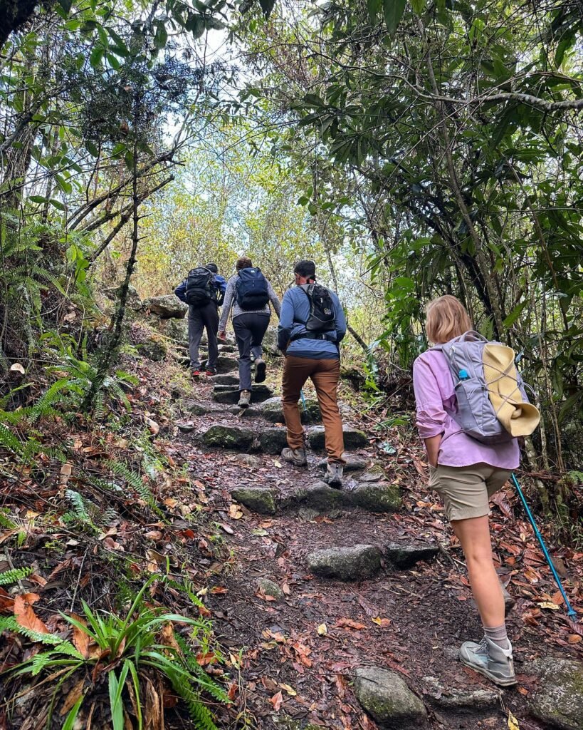 The Inca trail trek is an excellent option for anyone who wants a new adventure. 