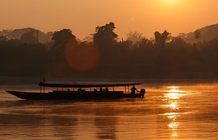 Your Ultimate Guide to Visiting Tambopata National Reserve