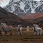 Ausangate Trek Peru