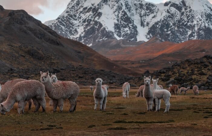 Ausangate Trek Peru