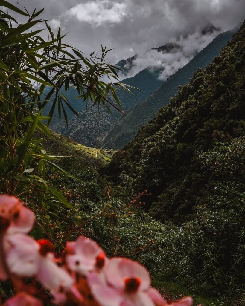 Immerse yourself in nature while connecting with local Andean culture.