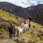 Salkantay Trek vs. Lares Trek