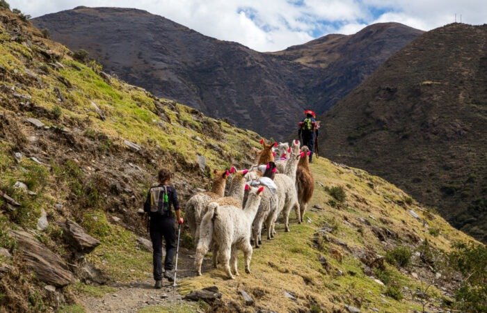 Salkantay Trek vs. Lares Trek