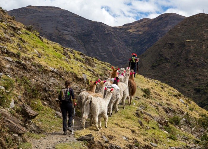 Salkantay Trek vs. Lares Trek