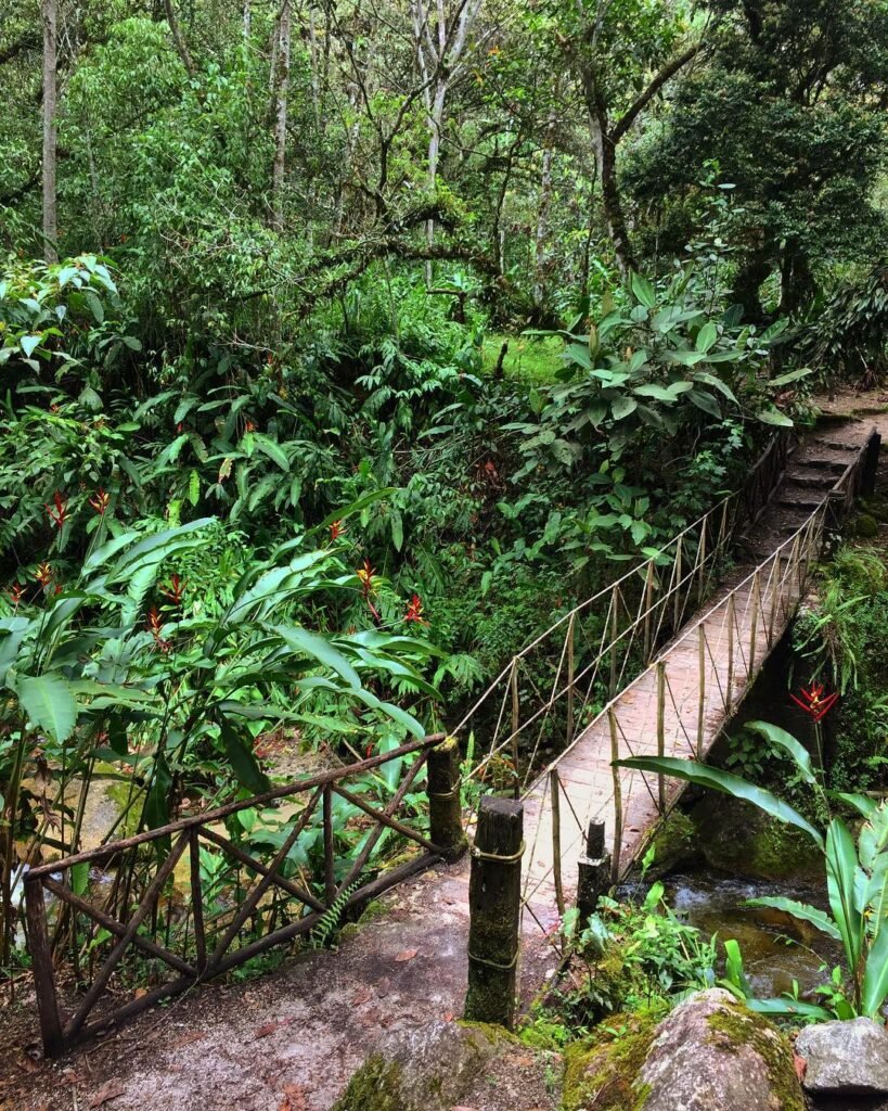 This lush paradise is located approximately 2.5 kilometers from the town of Aguas Calientes